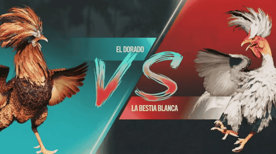 baronesapg Plataforma Jogos